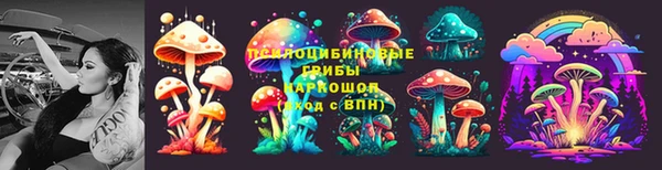метадон Армянск