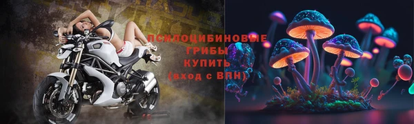 каннабис Аркадак