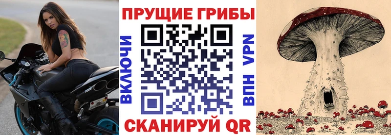 Галлюциногенные грибы Cubensis Чапаевск